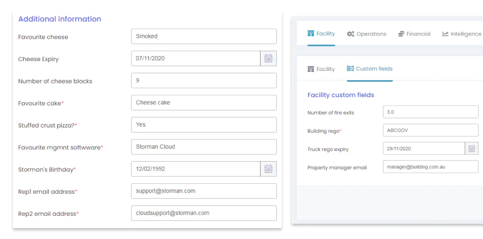 custom fields in storman cloud
